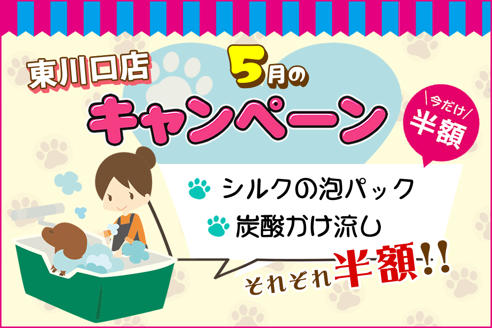 ペットサロンプルート東川口店
